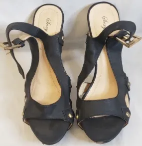 Stylish Design Opera Night 5" Dior -- Women's Platform Sandal