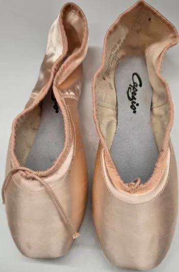 Functional Aerial -- Pointe Shoe -- European Pink Satin