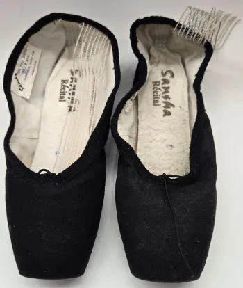 Recital -- Pointe Shoe -- Black Canvas Training Mode